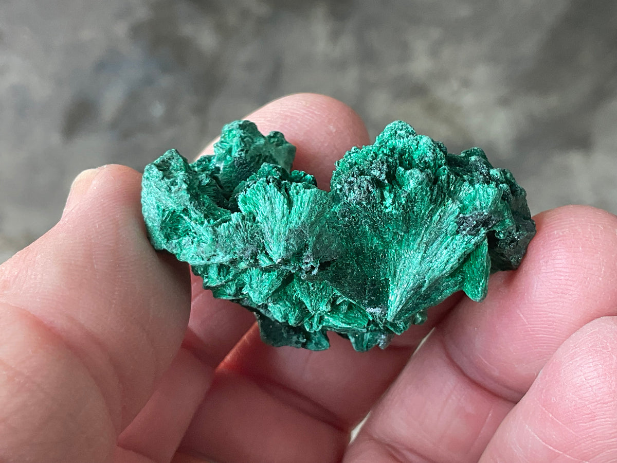 30g Silky Congolese Malachite Specimen 3A