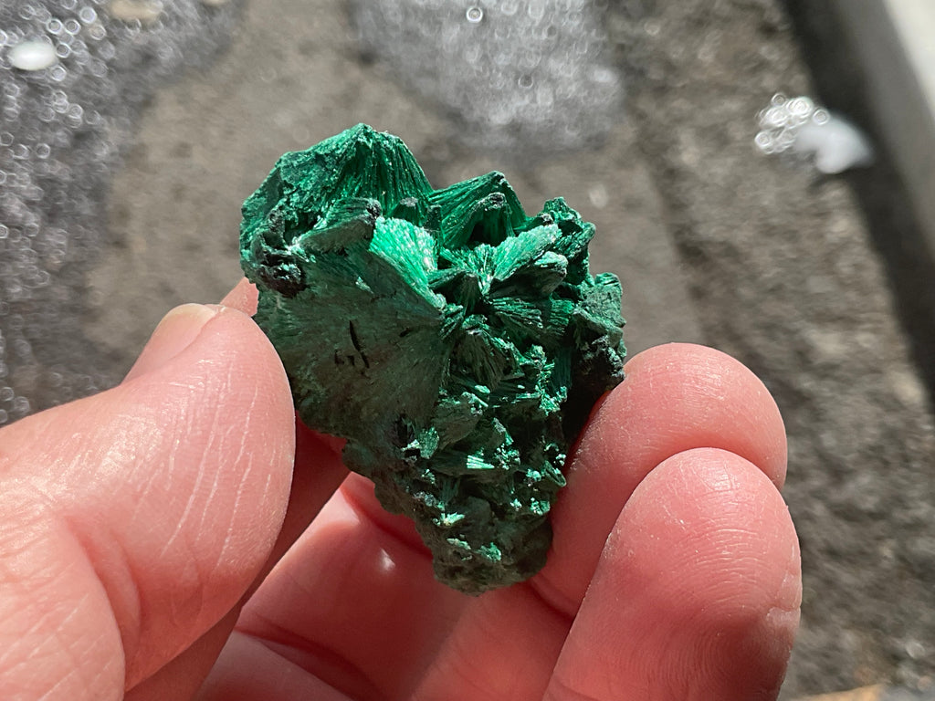 30g Silky Congolese Malachite Specimen 3A