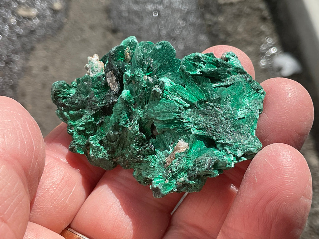 32g Silky Congolese Malachite Specimen 4A