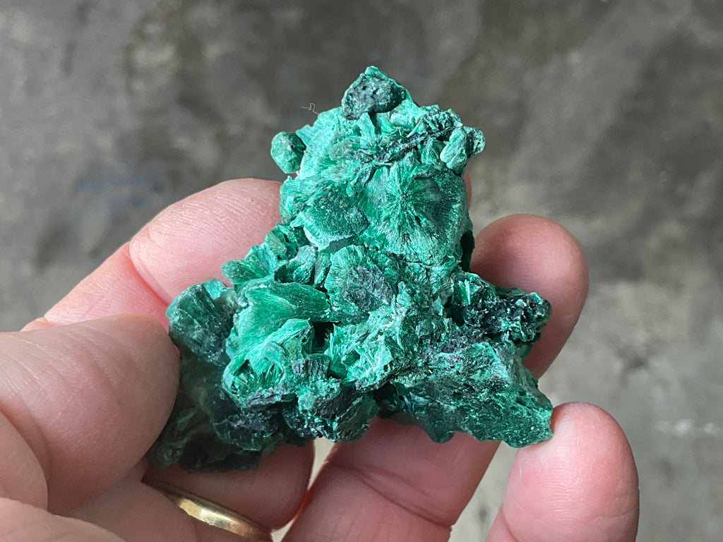 70g Silky Congolese Malachite Specimen 5C