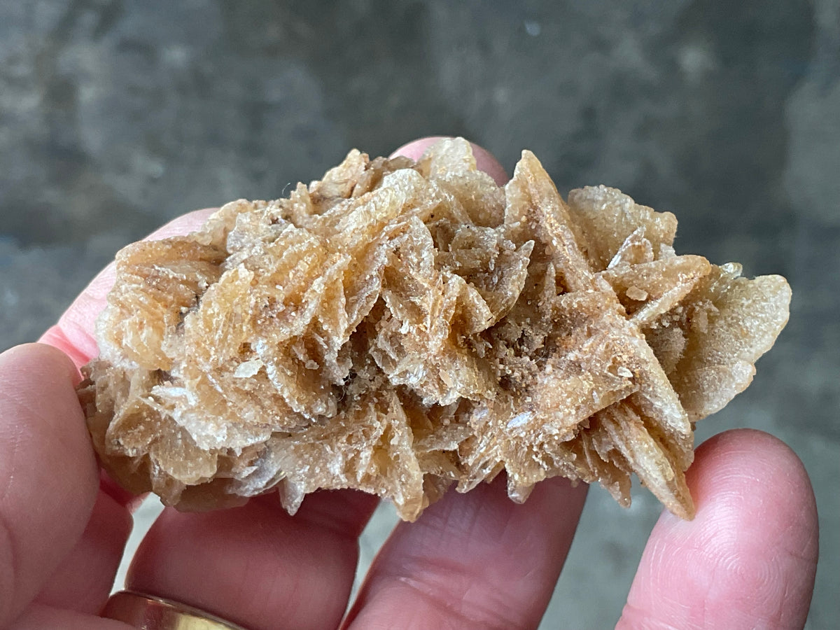 57g Baryte Desert Rose Specimen 9C