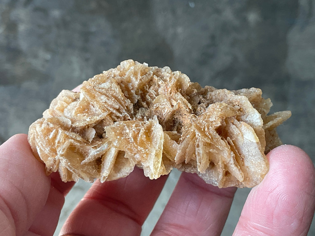 57g Baryte Desert Rose Specimen 9C