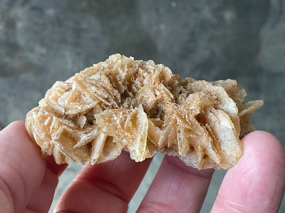 57g Baryte Desert Rose Specimen 9C