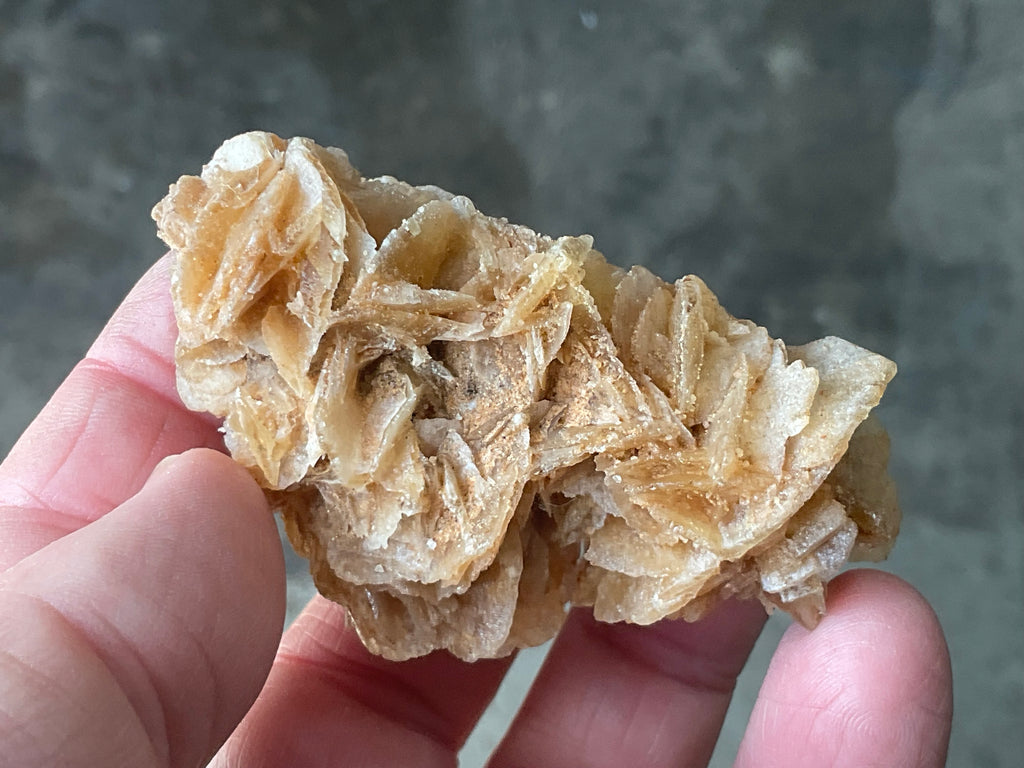 57g Baryte Desert Rose Specimen 9C