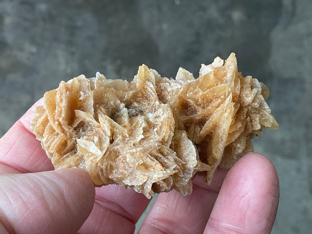57g Baryte Desert Rose Specimen 9C