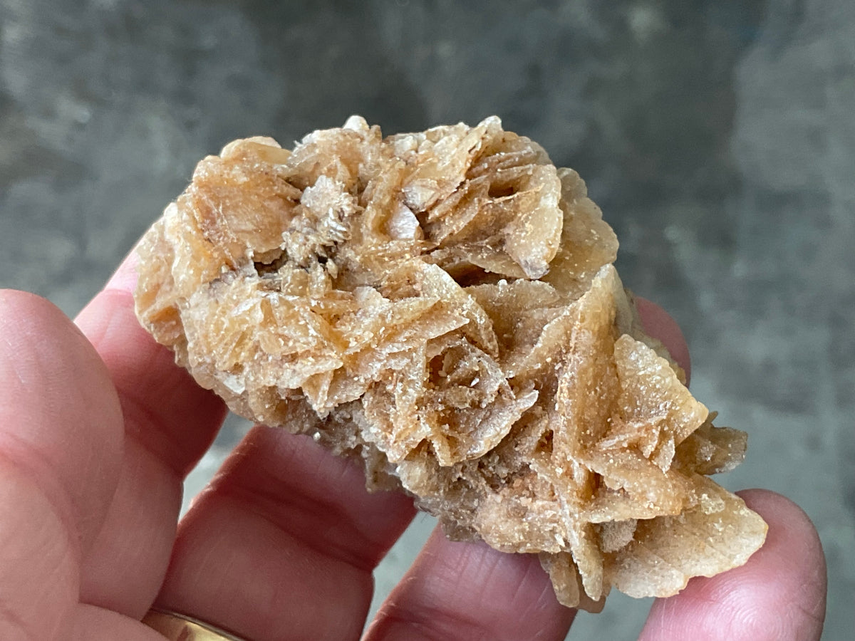 57g Baryte Desert Rose Specimen 9C
