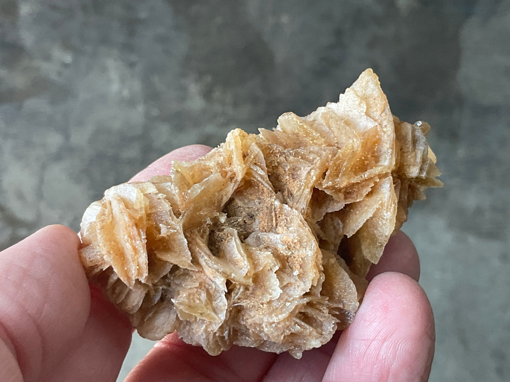 57g Baryte Desert Rose Specimen 9C