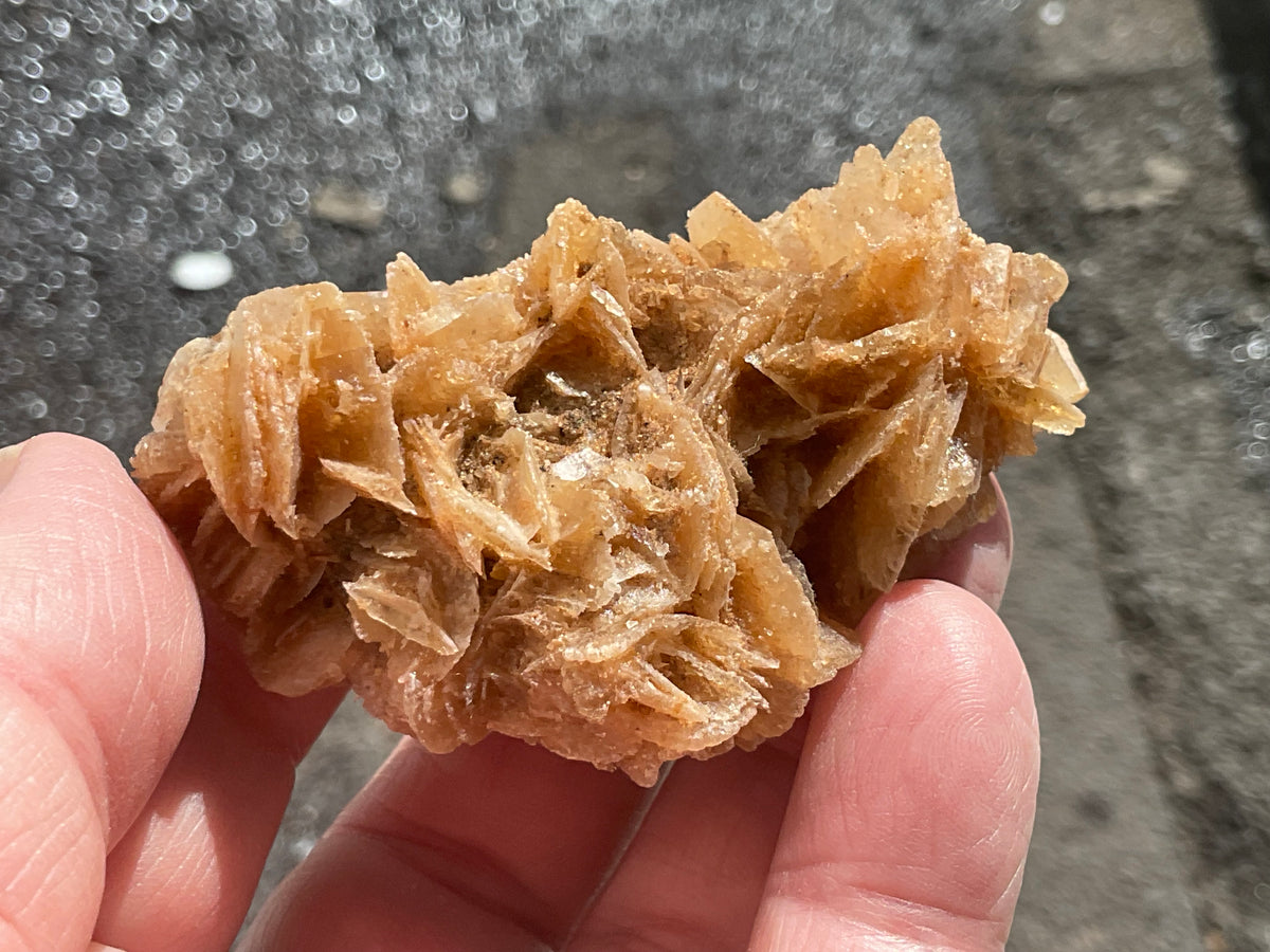 57g Baryte Desert Rose Specimen 9C