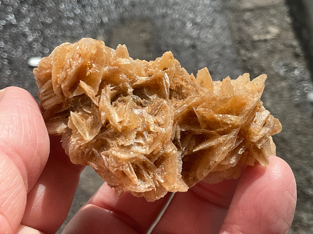 57g Baryte Desert Rose Specimen 9C