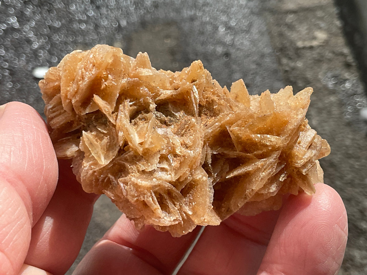 57g Baryte Desert Rose Specimen 9C