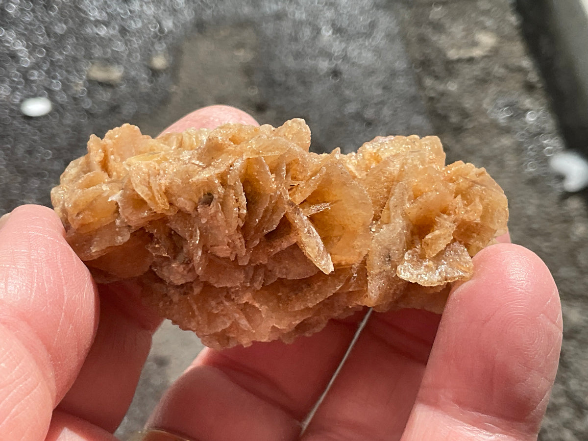 57g Baryte Desert Rose Specimen 9C