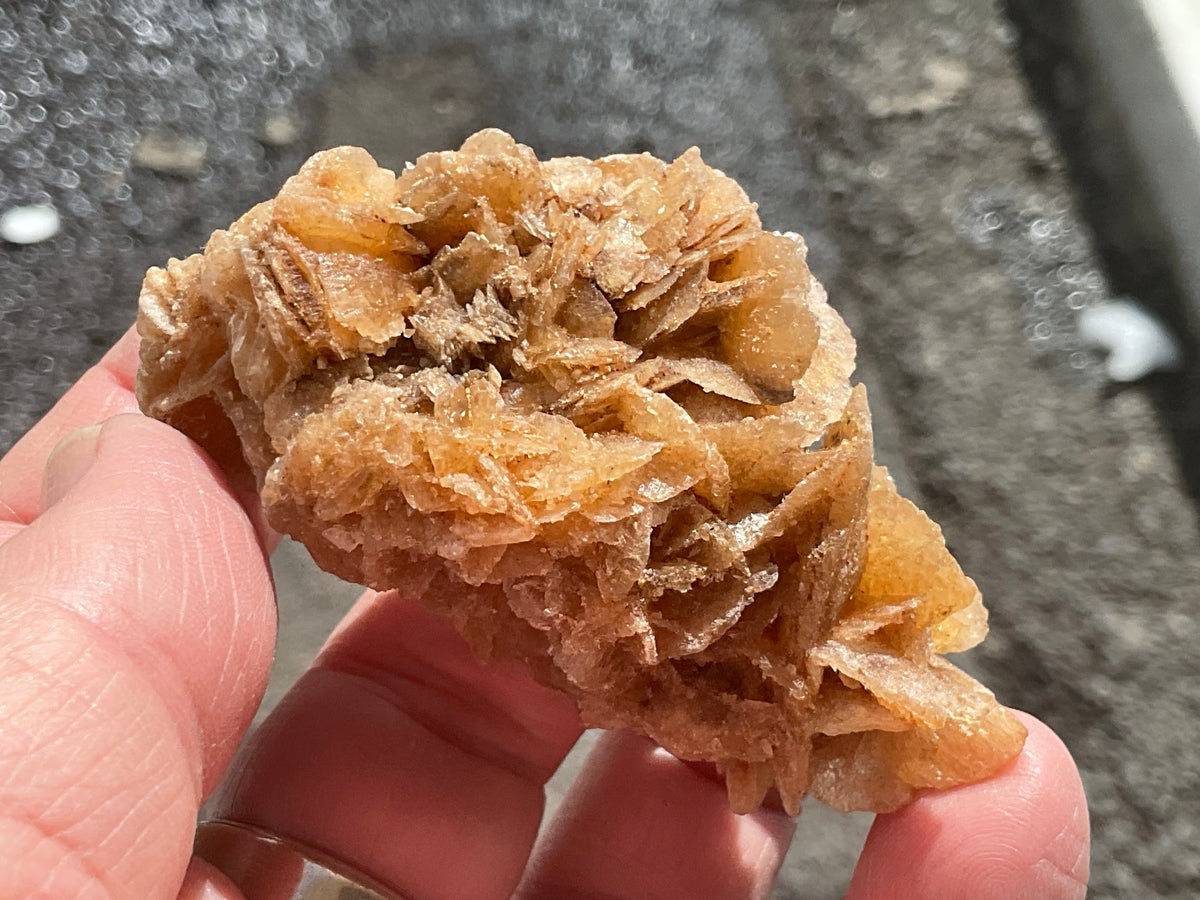 57g Baryte Desert Rose Specimen 9C