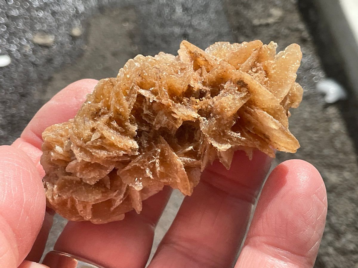 57g Baryte Desert Rose Specimen 9C