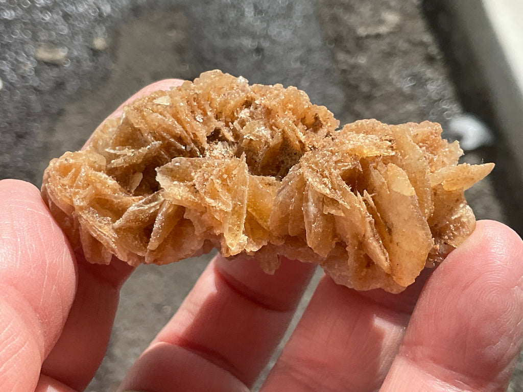 57g Baryte Desert Rose Specimen 9C