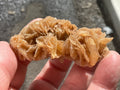 57g Baryte Desert Rose Specimen 9C