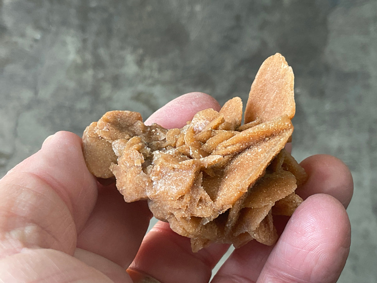 57g  Baryte Desert Rose Specimen 10A