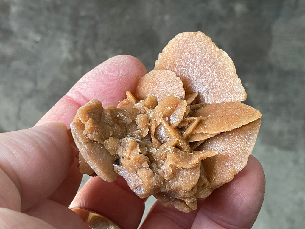 57g  Baryte Desert Rose Specimen 10A
