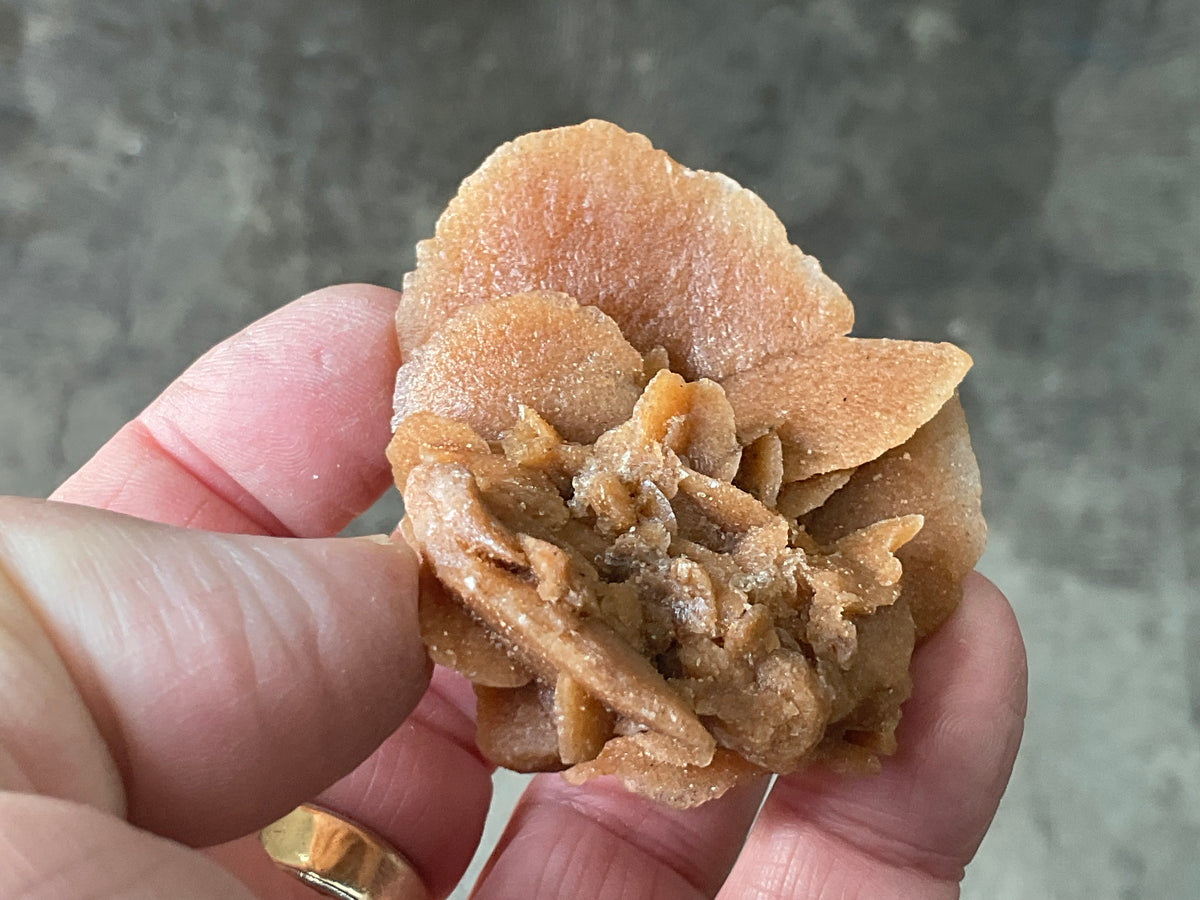 57g  Baryte Desert Rose Specimen 10A