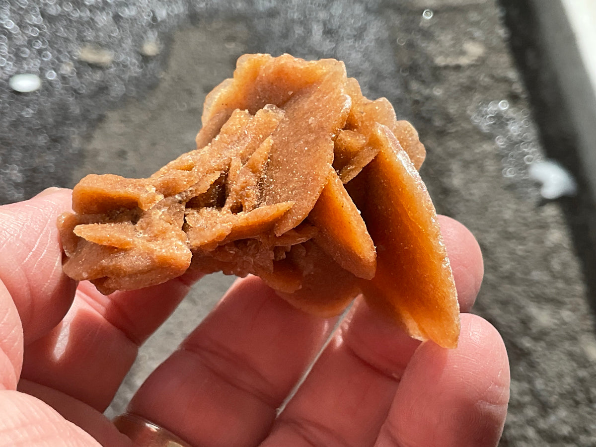 57g  Baryte Desert Rose Specimen 10A