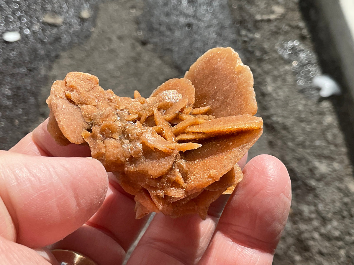 57g  Baryte Desert Rose Specimen 10A