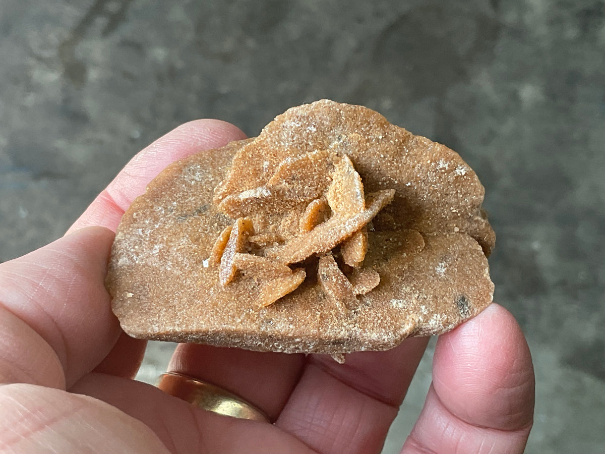 51g Baryte Desert Rose Specimen 4C