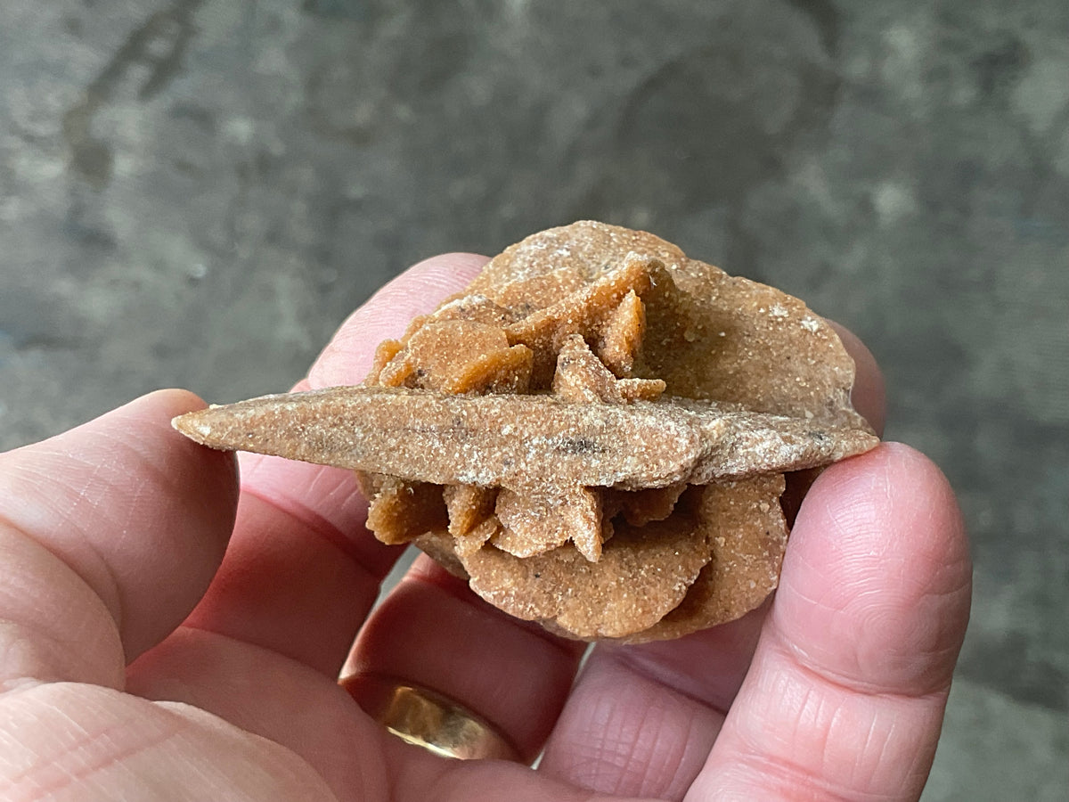 51g Baryte Desert Rose Specimen 4C