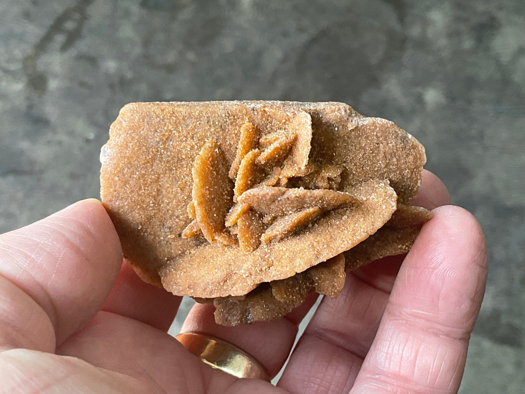 51g Baryte Desert Rose Specimen 4C