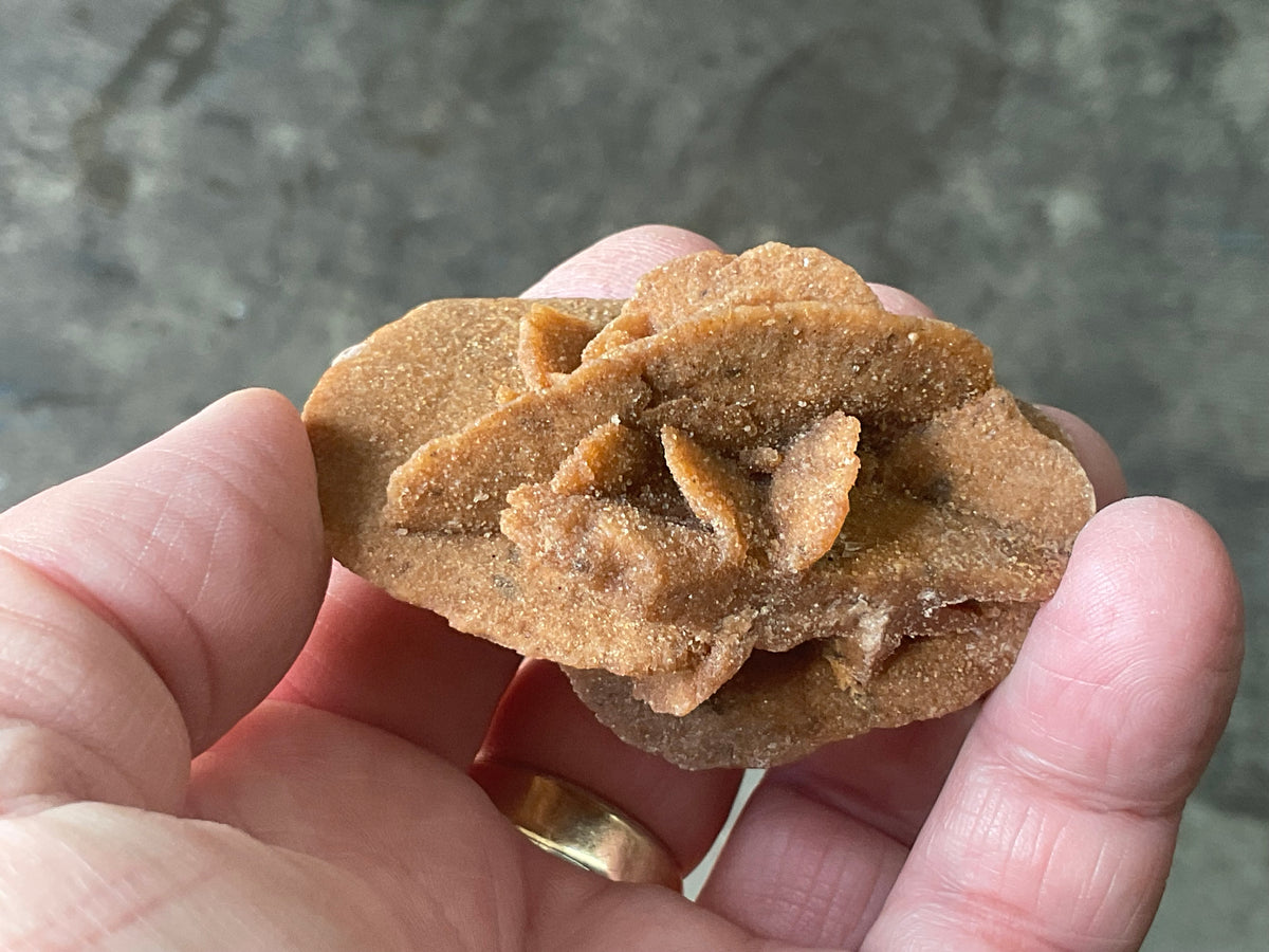 51g Baryte Desert Rose Specimen 4C