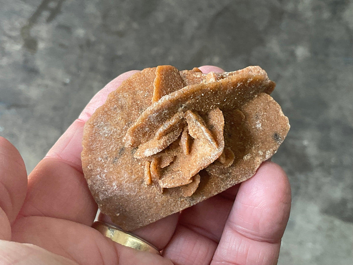 51g Baryte Desert Rose Specimen 4C