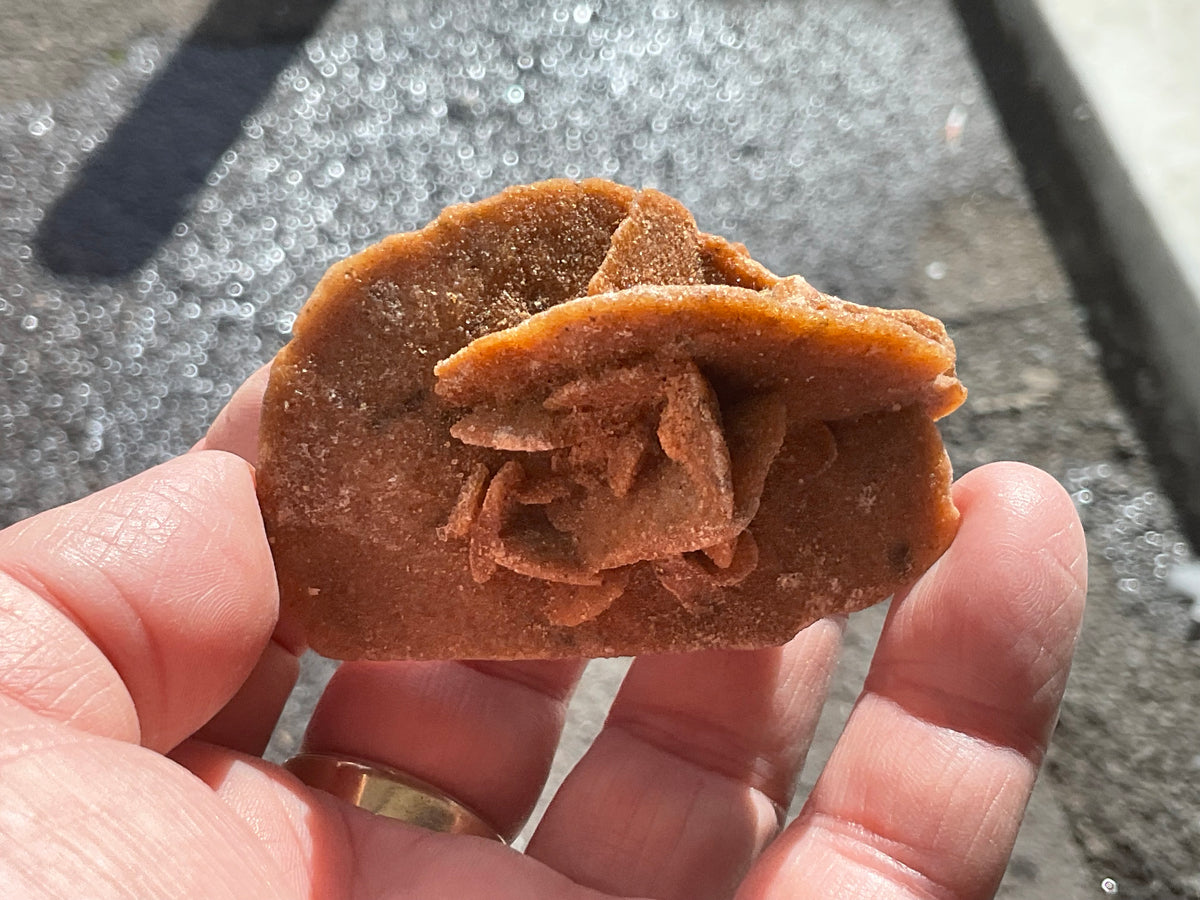 51g Baryte Desert Rose Specimen 4C