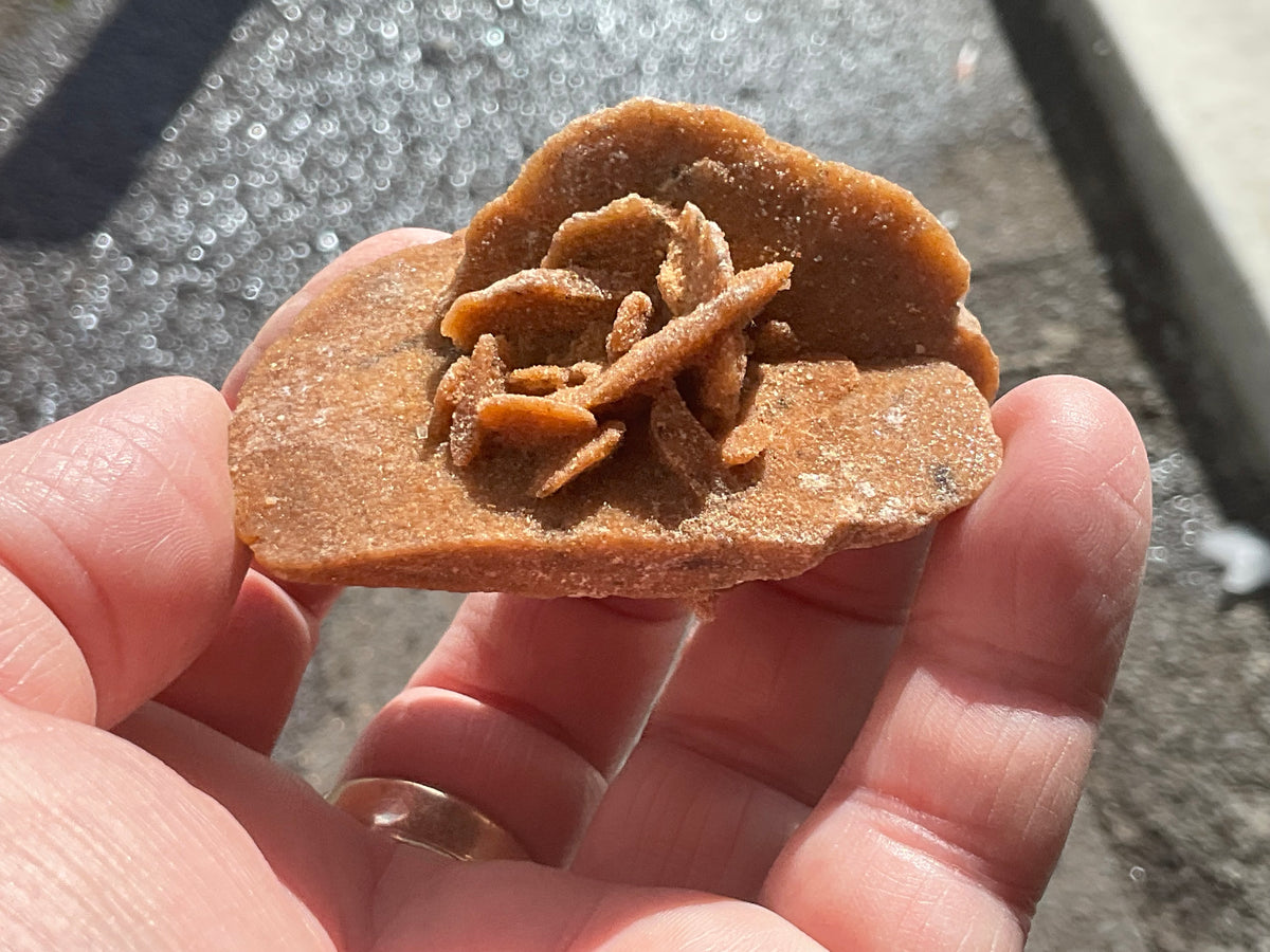 51g Baryte Desert Rose Specimen 4C