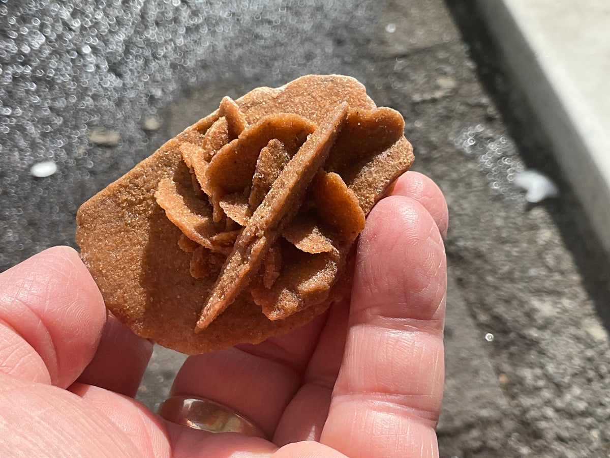 51g Baryte Desert Rose Specimen 4C