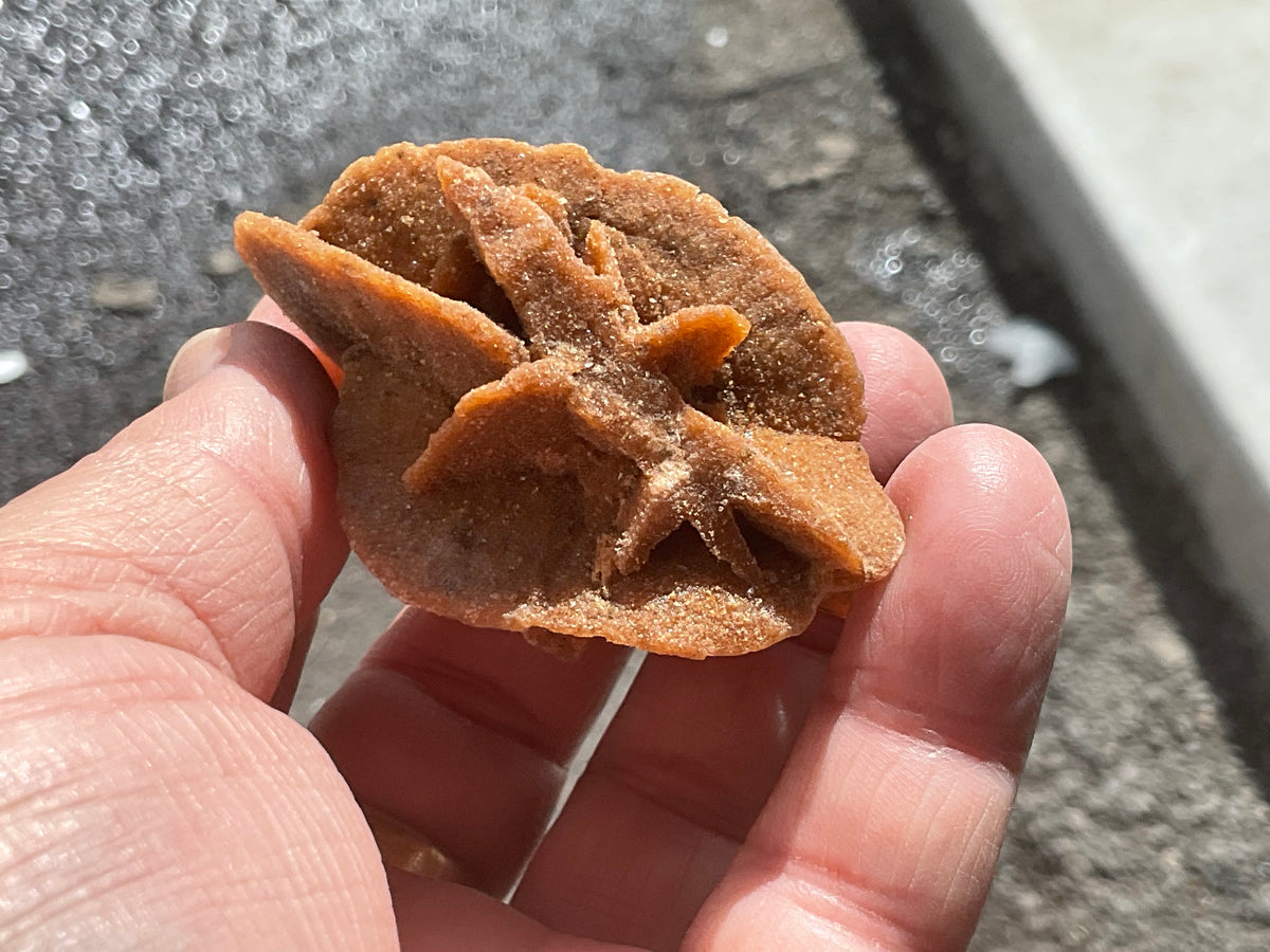 51g Baryte Desert Rose Specimen 4C