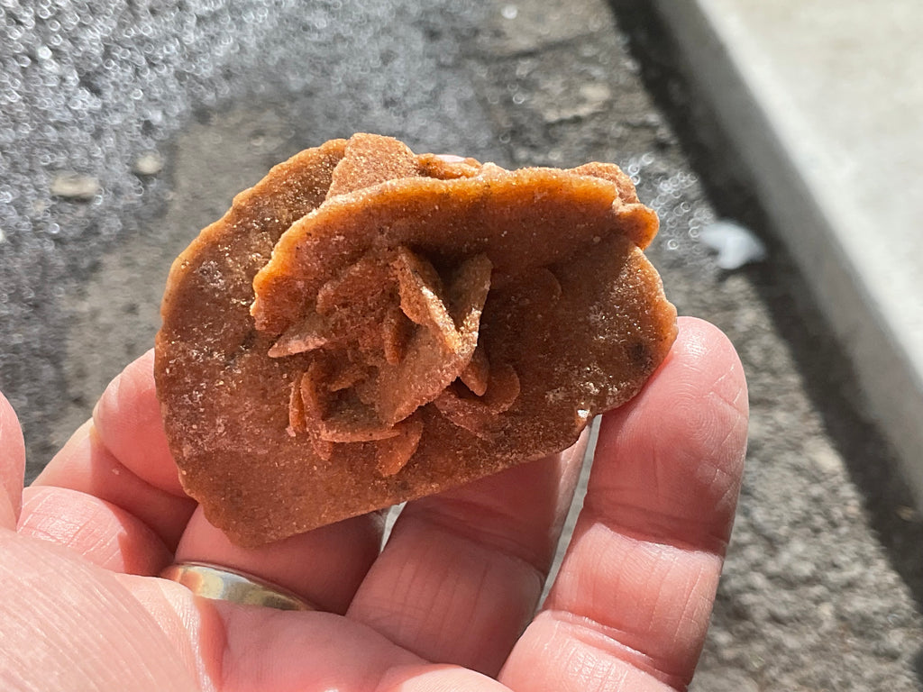 51g Baryte Desert Rose Specimen 4C
