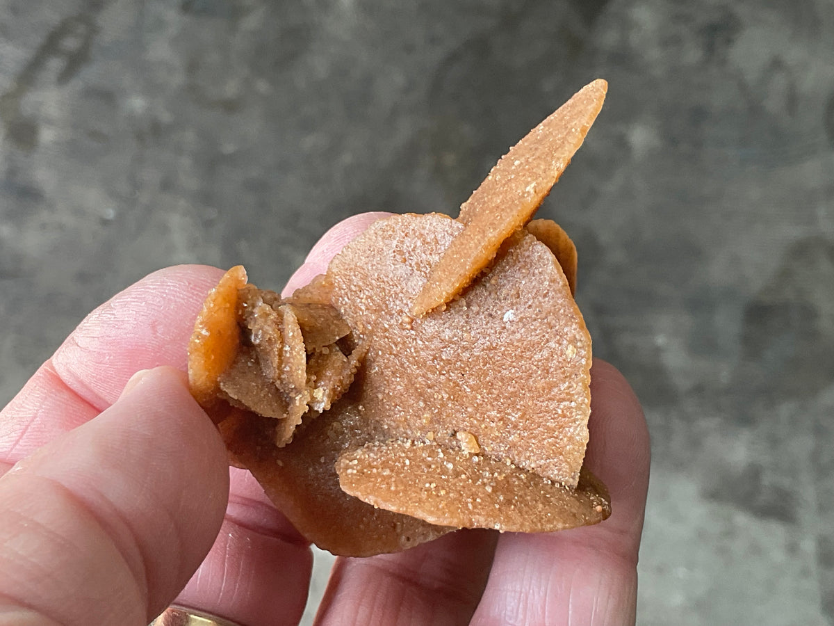 39g Baryte Desert Rose Specimen 2C