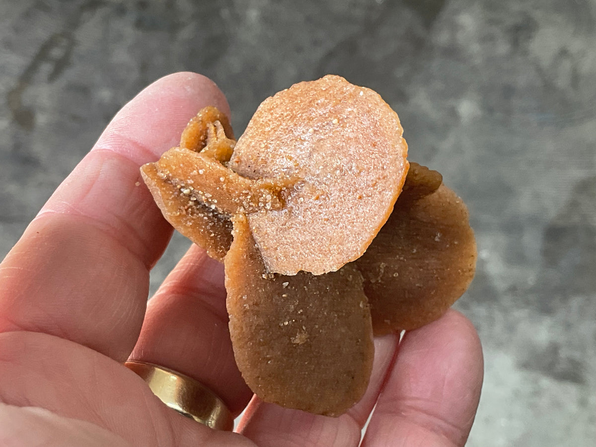 39g Baryte Desert Rose Specimen 2C