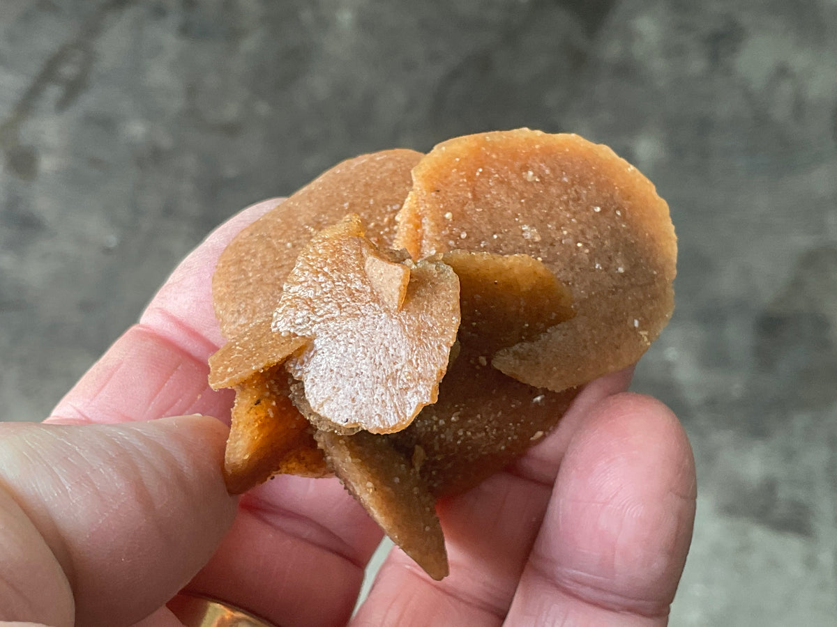 39g Baryte Desert Rose Specimen 2C