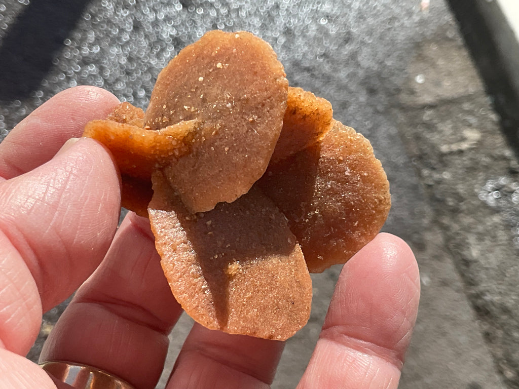 39g Baryte Desert Rose Specimen 2C