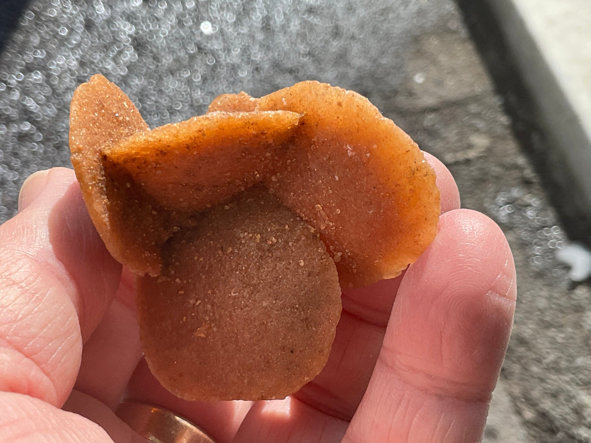 39g Baryte Desert Rose Specimen 2C