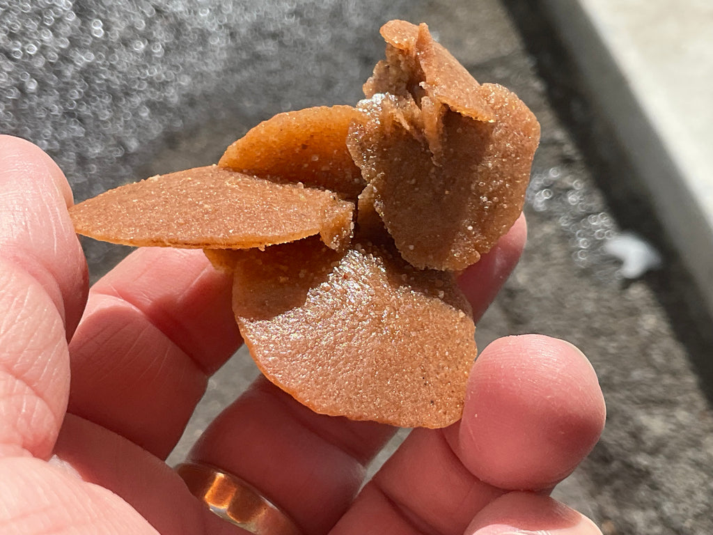 39g Baryte Desert Rose Specimen 2C
