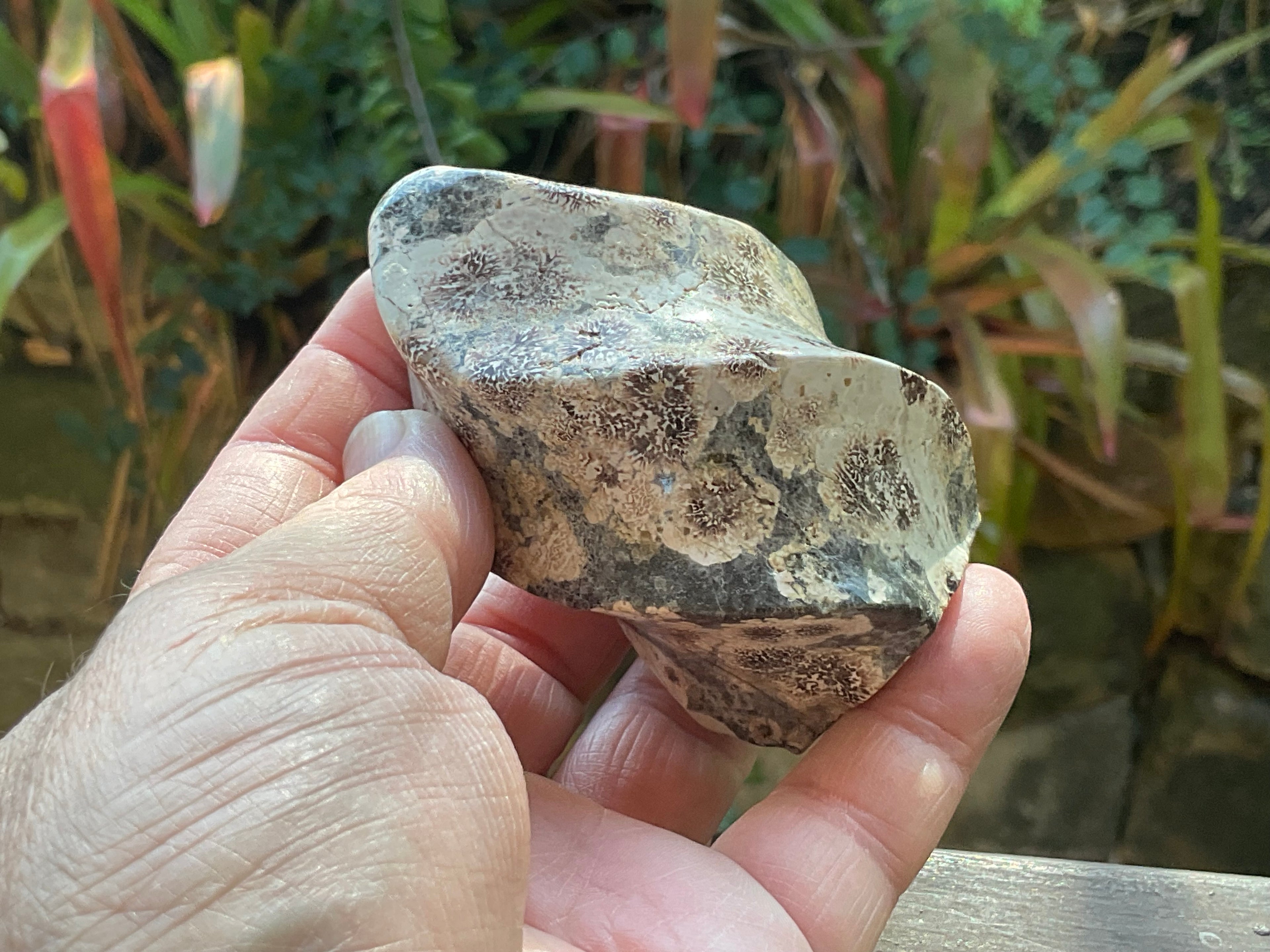 198g Green Cherry Blossom Jasper Flame 1B