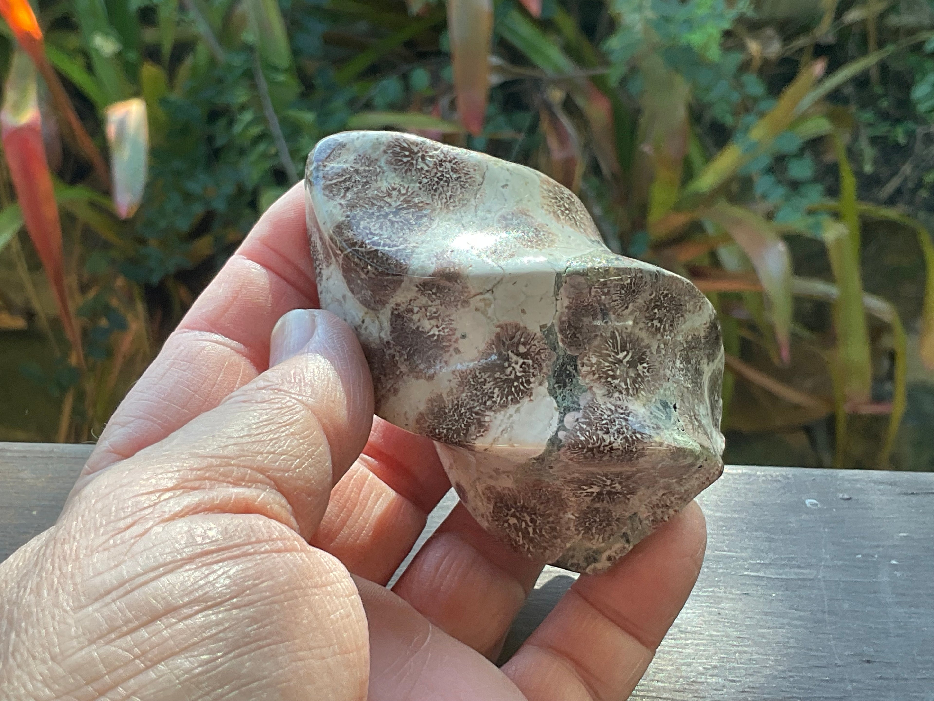 209g Green Cherry Blossom Jasper Flame 1C