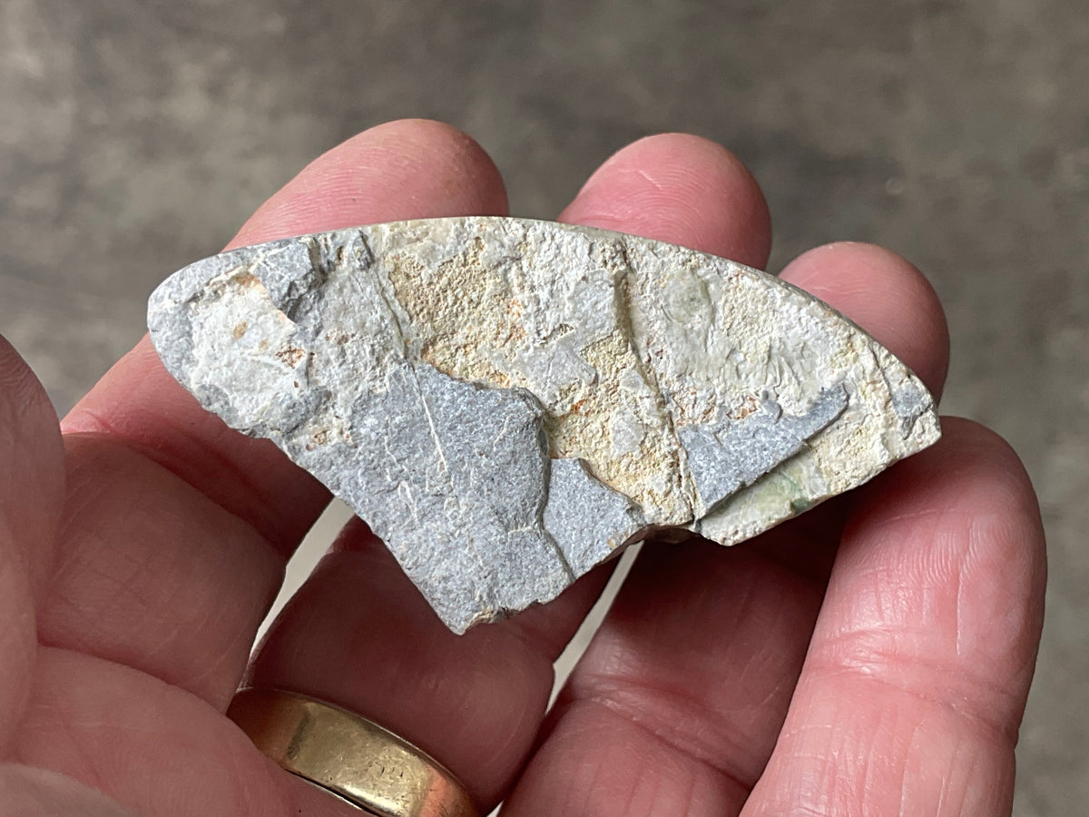 48g Western Australian Polished Variscite Specimen