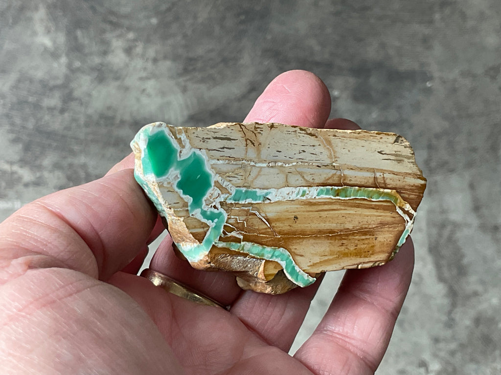78g Western Australian Polished Variscite Specimen