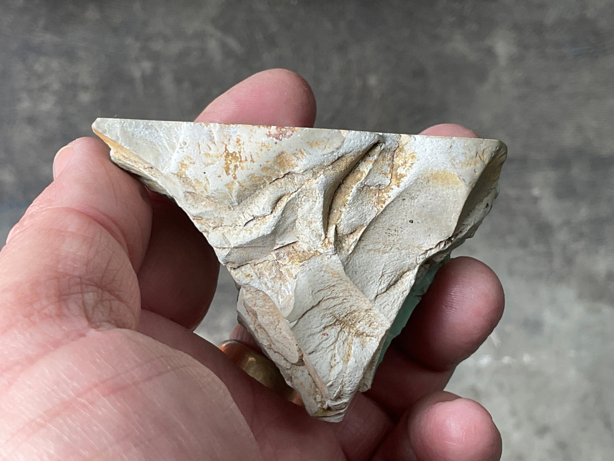 108g Western Australian Polished Variscite Specimen