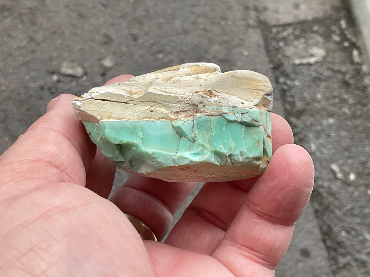 108g Western Australian Polished Variscite Specimen