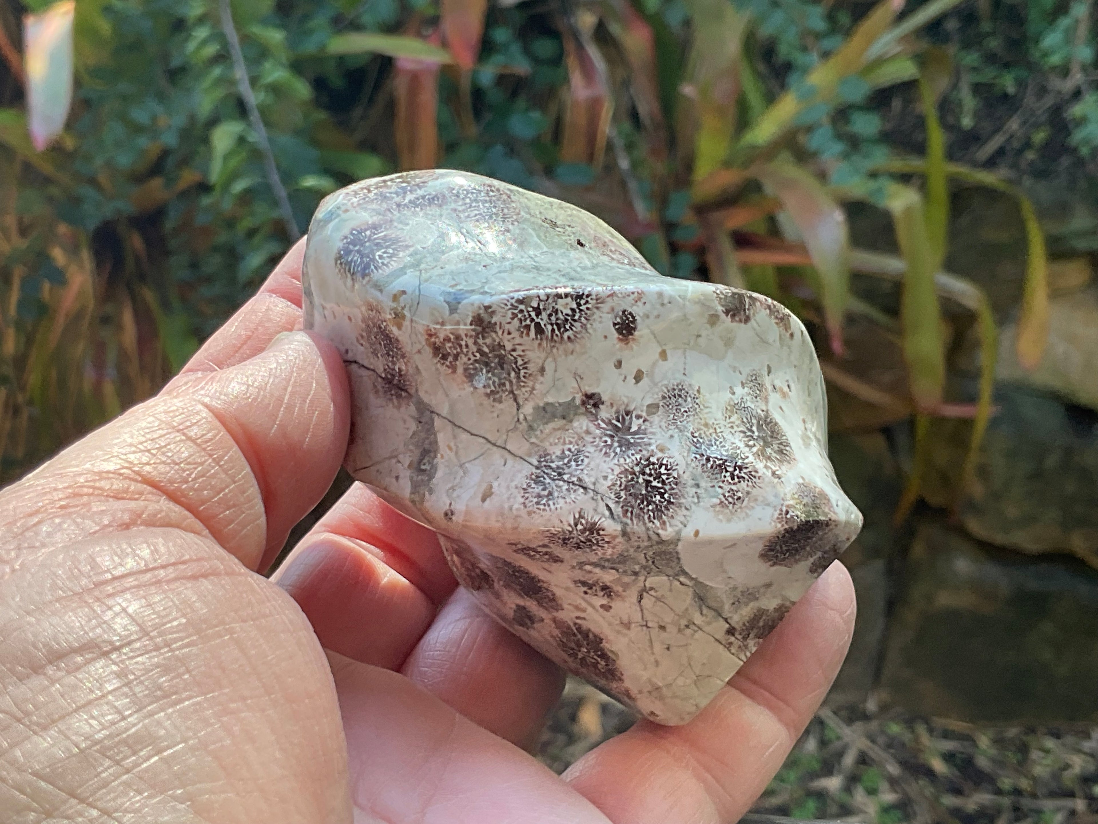 258g Green Cherry Blossom Jasper Flame 4C