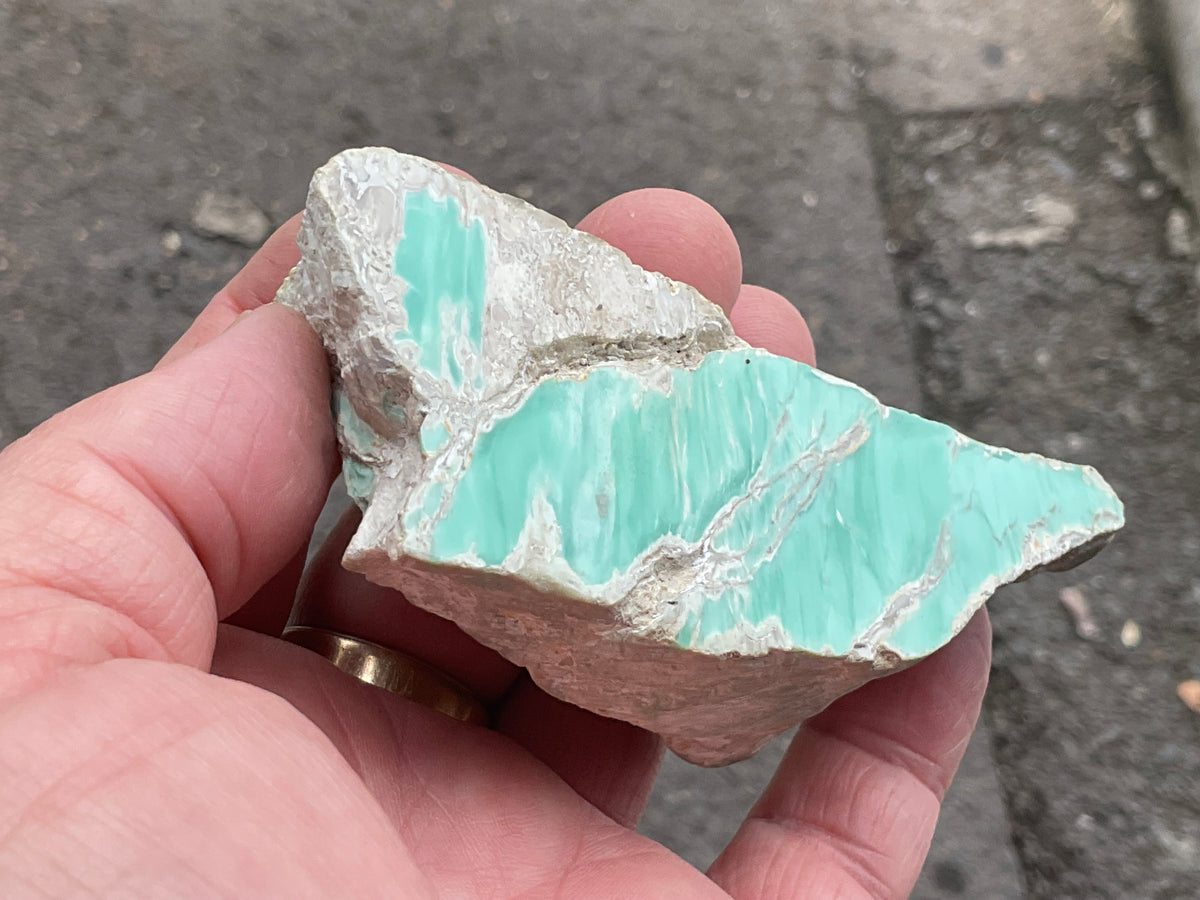 130g Western Australian Poloshed Variscite Specimen