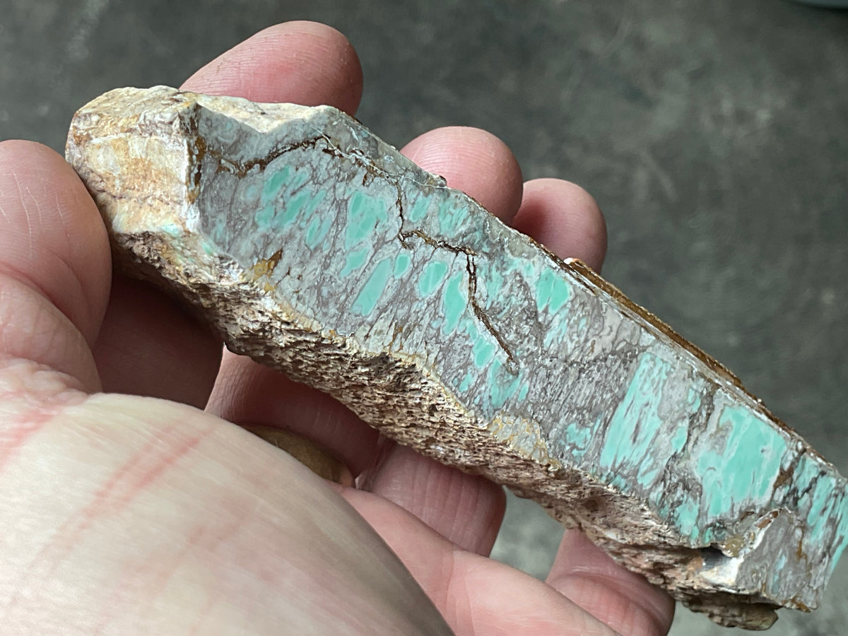 152g Western Australian Polished Variscite Specimen B