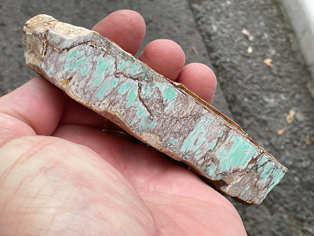 152g Western Australian Polished Variscite Specimen B
